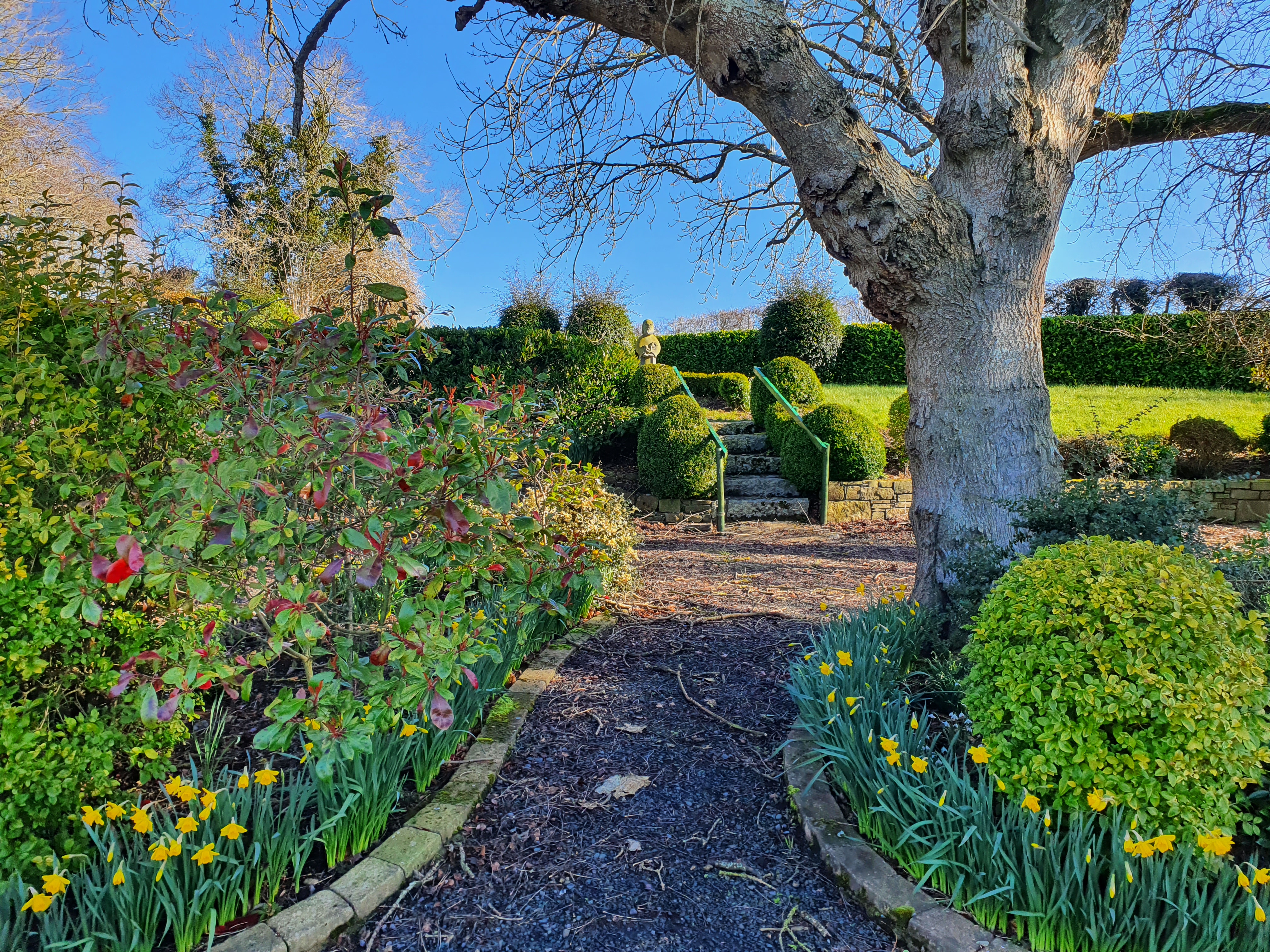 St. Patrick's Well in Glassely