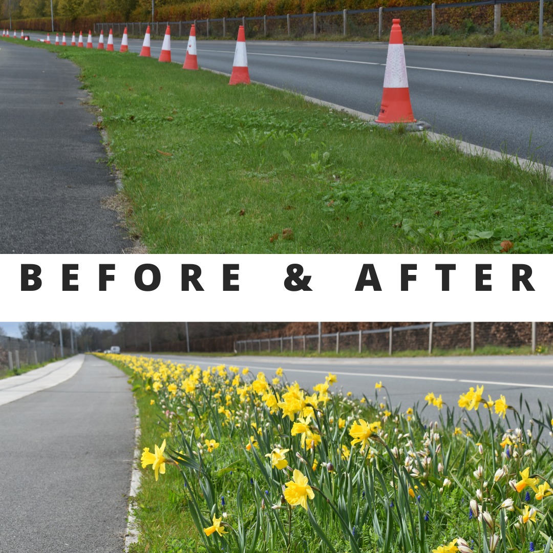 Newbridge Planting 