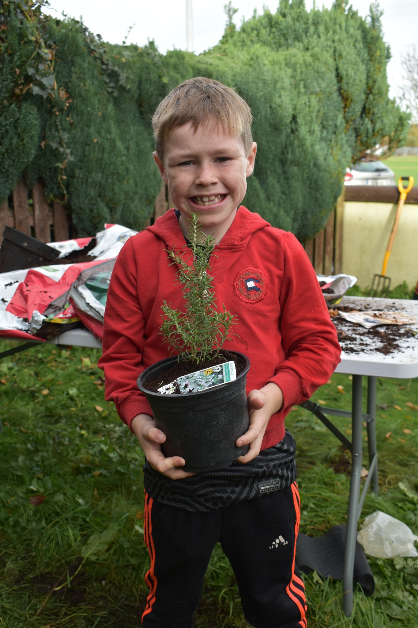 Community Planting Day in Athy