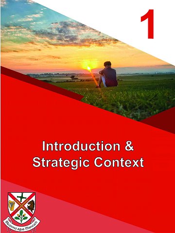 Chapter 1. Introduction and Strategic Context
