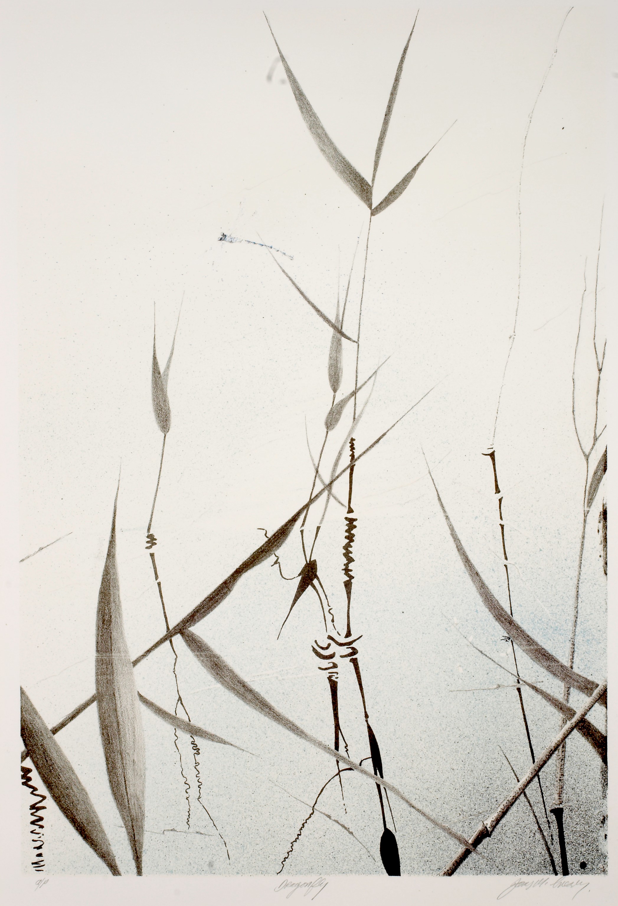 Lithograph, Edition 9 of 10