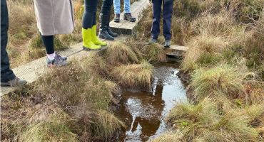 People standing on a walkway in a bog