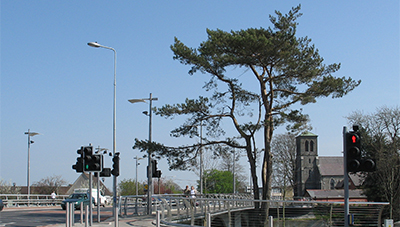 Newbridge Town