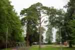 peoples park